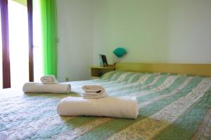 Family-friendly apartments with swimming pool Nin, Zadar - 6560