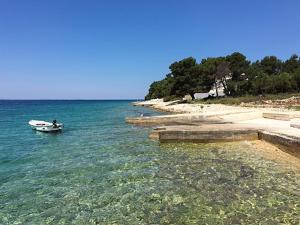 Apartments by the sea Petrcane, Zadar - 11555 