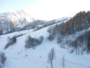 Appartement 3 pièces au pied des pistes avec balcon - FR-1-267-177