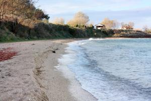 Apartments by the sea Nin, Zadar - 13195