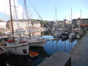 B&B / Chambres d'hotes chambre le nid du phare avec jacuzzi : photos des chambres