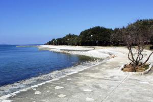 Apartments by the sea Petrcane, Zadar - 13490