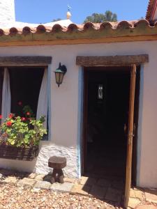 Pinos de la Quebrada