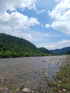 Odyssey Stays Rathuadhab (Jim Corbett National Park)
