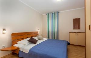 Awesome Apartment In Pinezici With Wifi 