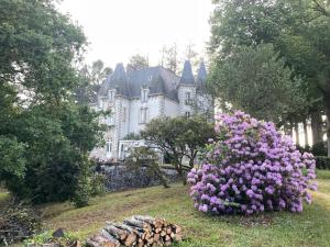 B&B / Chambres d'hotes Chateau Maleplane : photos des chambres