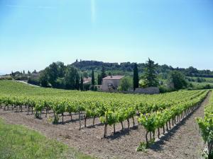 Hotels Hotel Bel Alp Manosque : photos des chambres