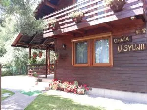 Chata u Sylwii - 弗沃达瓦