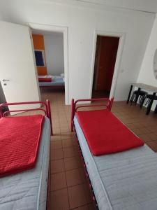 Bett im Frauenschlafsaal mit 4 Betten