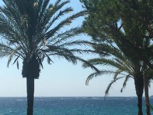 Appartements Cannes Terrace Beach Front & Sea view : photos des chambres