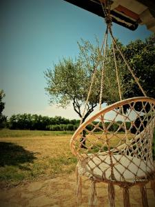 House Nono Bepo in small Istrian village