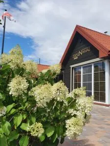 Anas Namas - Skaystgiris