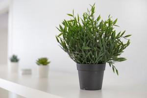 Ático Playa Morro Jable 3b