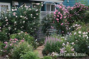 Kitasaku District - Hotel - Vacation STAY 89259