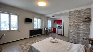 Appartements Residence Dauphine : photos des chambres