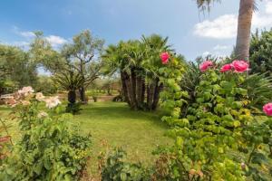 villa con immenso giardino img12