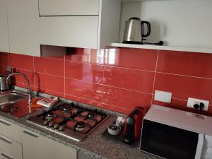 G&G Firenze Apartment
