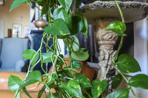 La Maison at The Old Bridge