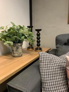 Studio aconchegante em Barra Mansa