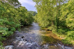 River Song, Near River, Hot Tub, Foosball, WIFI 560 FREE tickets each paid day!