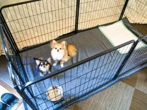 Lupo Forest "GRAN FOREST Echizen Miyama" - Vacation STAY 07123v - 胜山市