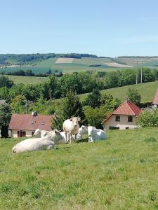 Maisons de vacances Gite la bulle Enchantee : photos des chambres