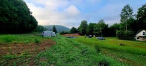 Biała chatka w lesie na Roztoczu