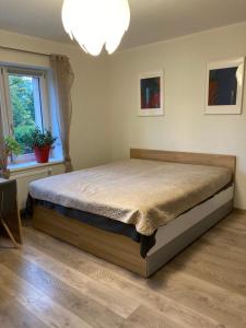 Artystyczny Apartament