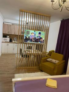 Apartament Gabriela 39