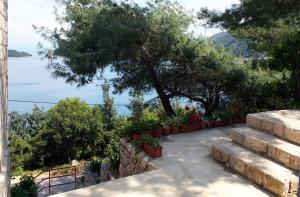 Apartments by the sea Sobra, Mljet - 4898 