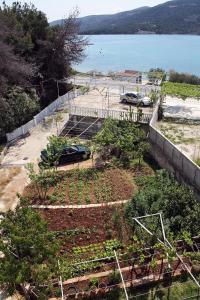 Apartments by the sea Marina, Trogir - 4850