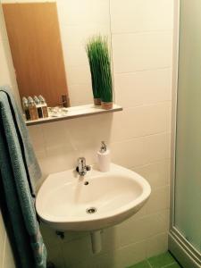 Apartments by the sea Cove Saplunara, Mljet - 4900