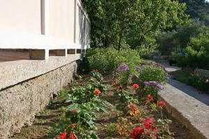 Apartments by the sea Supetarska Draga Donja Rab 5043