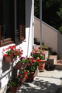 Apartments with parking space Palit, Rab - 4957