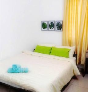 Desaru MCozy,12pax,Waterpark,BBQ,WIFI