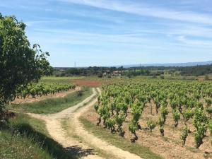 Villas Cosy Villa in Montbrun des Corbieres with Jacuzzi : photos des chambres