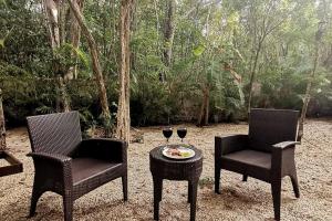 Agua & Selva luxury Jungle loft