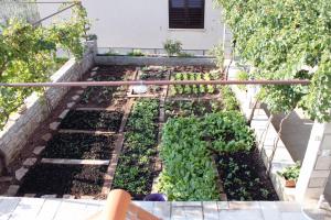 Apartments by the sea Stomorska, Solta - 5164