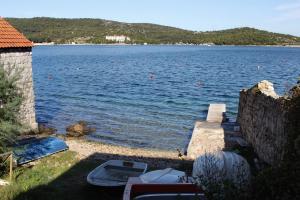 Apartments by the sea Vis - 8874