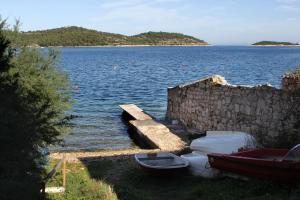 Apartments by the sea Vis - 8874