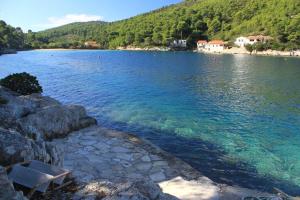 Apartments by the sea Cove Stoncica, Vis - 8941