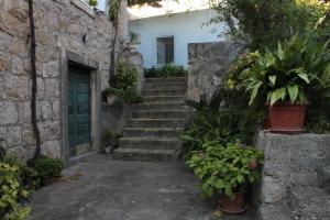 Apartments with a parking space Trsteno, Dubrovnik - 8594