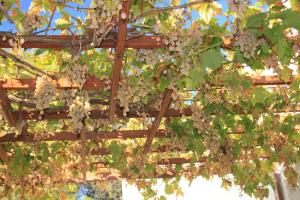 Apartment Rukavac 8863c