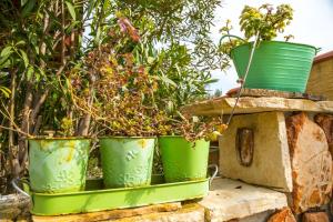 Apartments by the sea Rogac, Solta - 11220