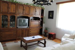 Apartments with WiFi Split - 11285