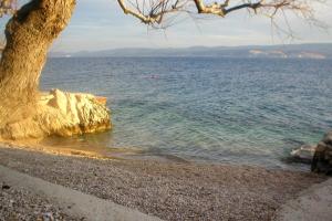 Studio Zavode 11786a