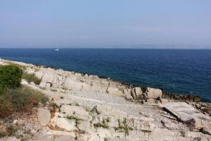 Apartments by the sea Cove Donja Kruscica - Donja Krusica, Solta - 14709