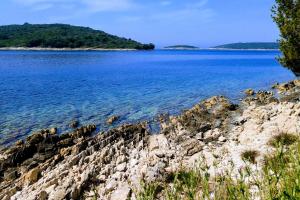 Apartments by the sea Maslinica, Solta - 15312