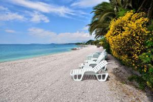 Apartments by the sea Podstrana, Split - 16074