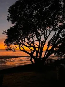 Island View Hideaway - Maraetai